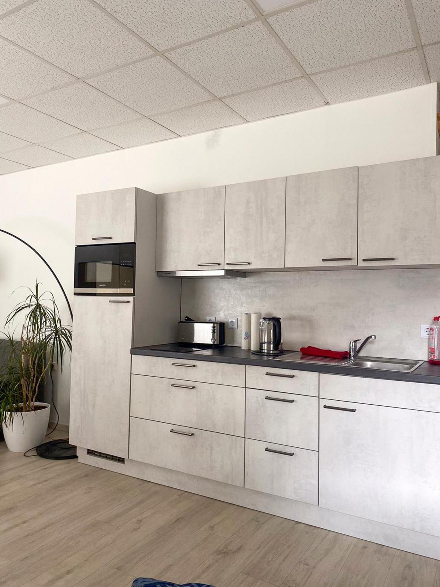 Grosse & Voll Ausgestattete Apartments, Studios, Doppelzimmer, Workspace, Parkplatz, Netflix, Prime & Schnelles Wifi In Ruhiger Lage Mit Garten Rudolstadt Exterior photo
