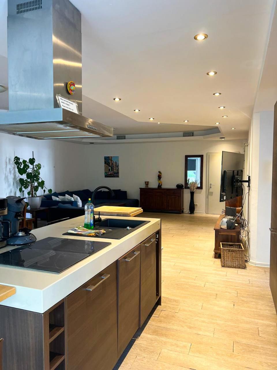 Grosse & Voll Ausgestattete Apartments, Studios, Doppelzimmer, Workspace, Parkplatz, Netflix, Prime & Schnelles Wifi In Ruhiger Lage Mit Garten Rudolstadt Exterior photo
